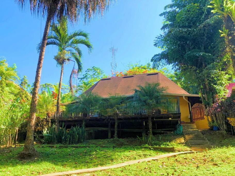 Villa Del Idaan بوكاس تاون المظهر الخارجي الصورة