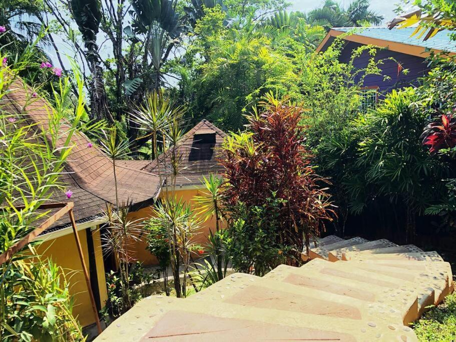 Villa Del Idaan بوكاس تاون المظهر الخارجي الصورة